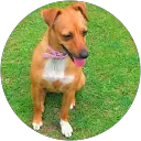 jayne bonfield profile picture