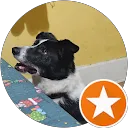 Angus Macpherson profile picture